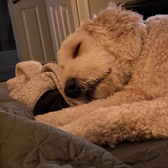 Meet your Posher, Kim - Picture 4 of 16